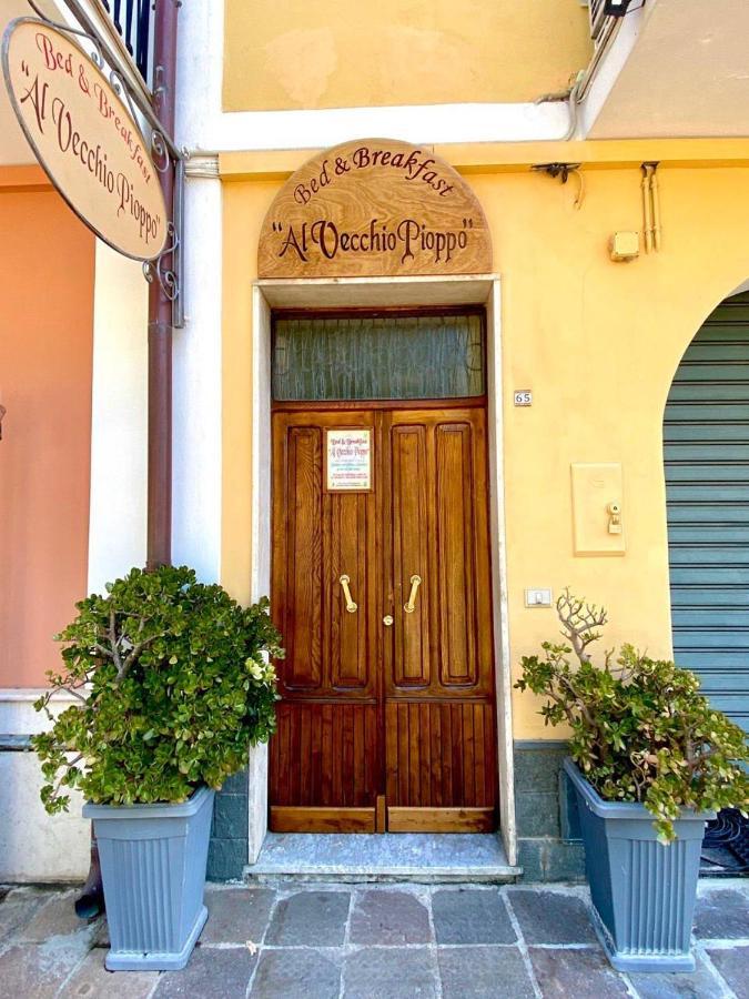 Al Vecchio Pioppo Bed and Breakfast Praia a Mare Εξωτερικό φωτογραφία