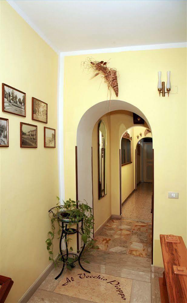 Al Vecchio Pioppo Bed and Breakfast Praia a Mare Εξωτερικό φωτογραφία